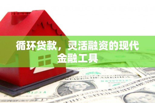 绥滨循环贷款，灵活融资的现代金融工具