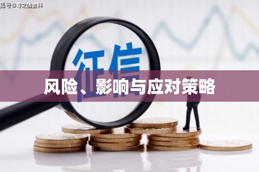 绥滨风险、影响与应对策略
