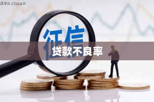 绥滨贷款不良率