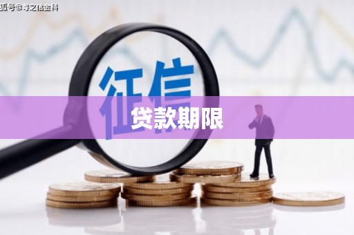 绥滨贷款期限