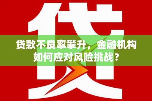 绥滨贷款不良率攀升，金融机构如何应对风险挑战？