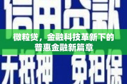 绥滨微粒贷，金融科技革新下的普惠金融新篇章