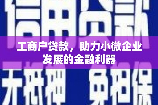 绥滨工商户贷款，助力小微企业发展的金融利器
