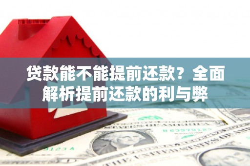 绥滨贷款能不能提前还款？全面解析提前还款的利与弊