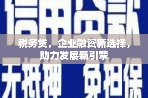 绥滨税务贷，企业融资新选择，助力发展新引擎