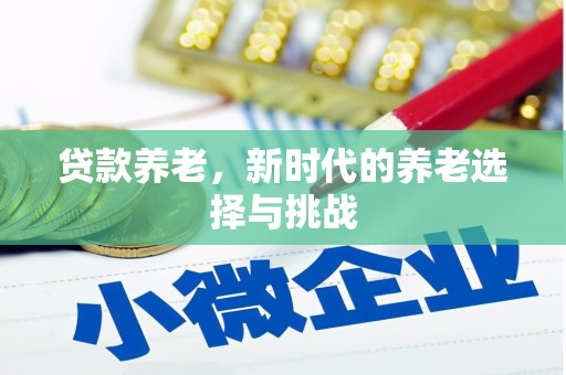绥滨贷款养老，新时代的养老选择与挑战