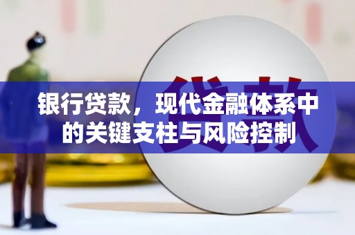 绥滨银行贷款，现代金融体系中的关键支柱与风险控制