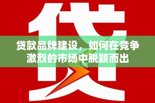 绥滨贷款品牌建设，如何在竞争激烈的市场中脱颖而出