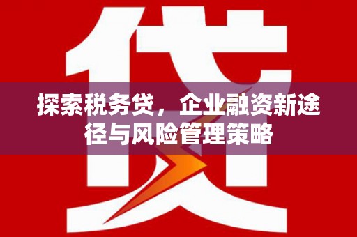 绥滨探索税务贷，企业融资新途径与风险管理策略