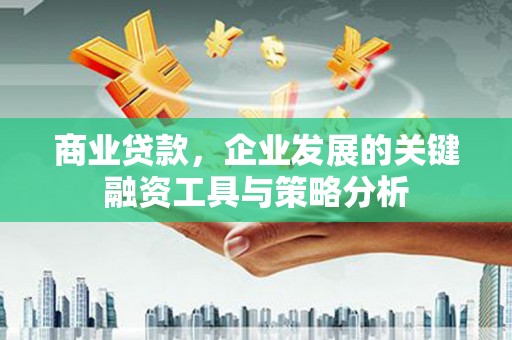绥滨商业贷款，企业发展的关键融资工具与策略分析