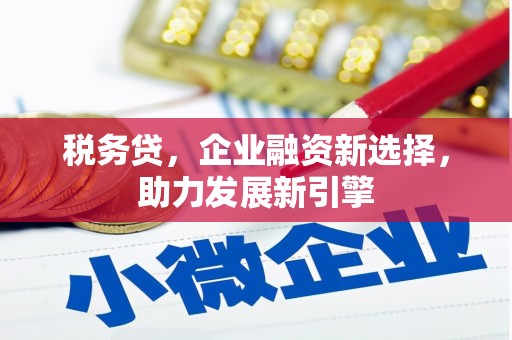 绥滨税务贷，企业融资新选择，助力发展新引擎