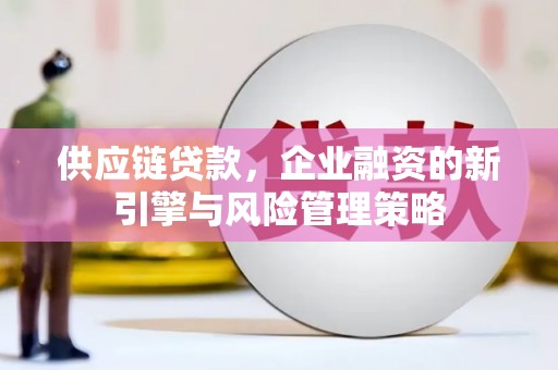 绥滨供应链贷款，企业融资的新引擎与风险管理策略