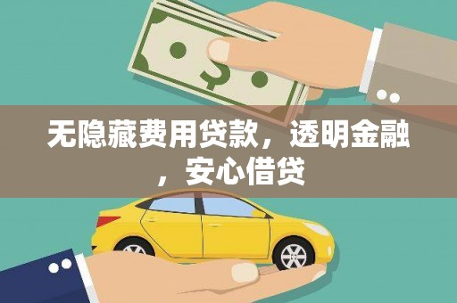 绥滨无隐藏费用贷款，透明金融，安心借贷