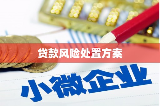 绥滨贷款风险处置方案