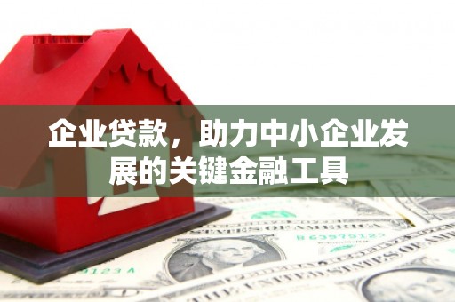绥滨企业贷款，助力中小企业发展的关键金融工具