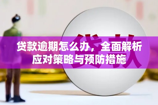 绥滨贷款逾期怎么办，全面解析应对策略与预防措施