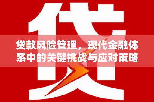 绥滨贷款风险管理，现代金融体系中的关键挑战与应对策略