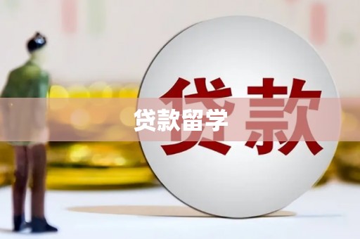 绥滨贷款留学