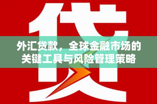 绥滨外汇贷款，全球金融市场的关键工具与风险管理策略