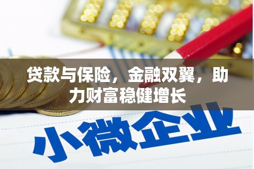 绥滨贷款与保险，金融双翼，助力财富稳健增长