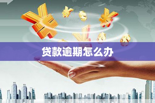 绥滨贷款逾期怎么办