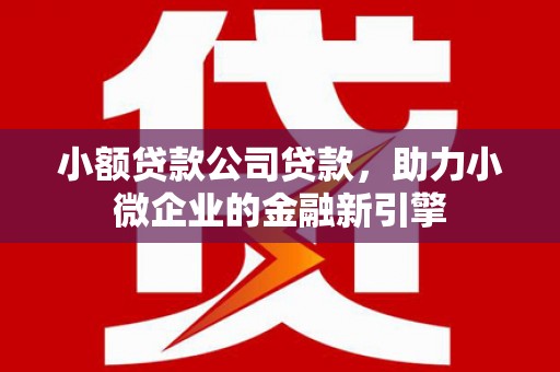 绥滨小额贷款公司贷款，助力小微企业的金融新引擎