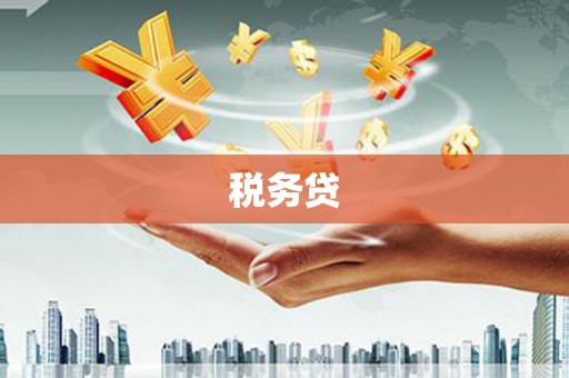 绥滨税务贷
