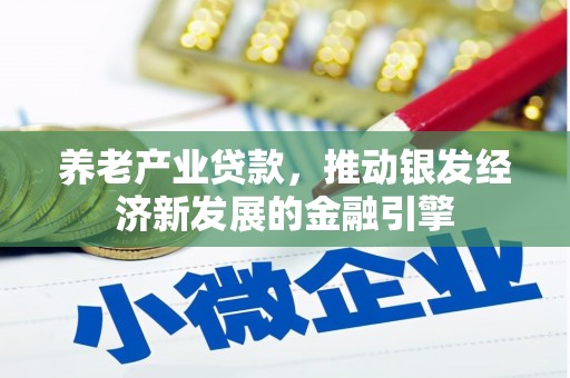 绥滨养老产业贷款，推动银发经济新发展的金融引擎