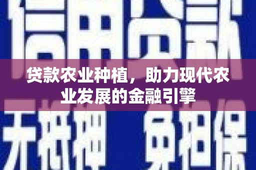 绥滨贷款农业种植，助力现代农业发展的金融引擎