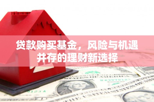 绥滨贷款购买基金，风险与机遇并存的理财新选择