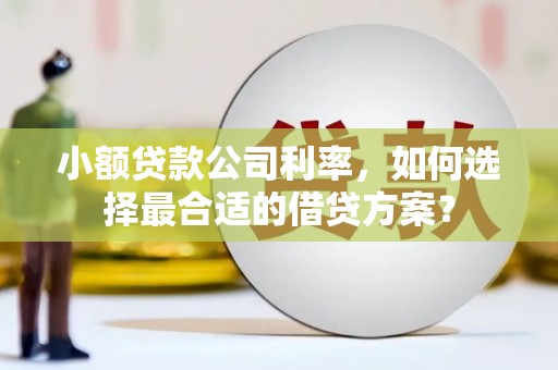 绥滨小额贷款公司利率，如何选择最合适的借贷方案？