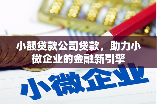 绥滨小额贷款公司贷款，助力小微企业的金融新引擎