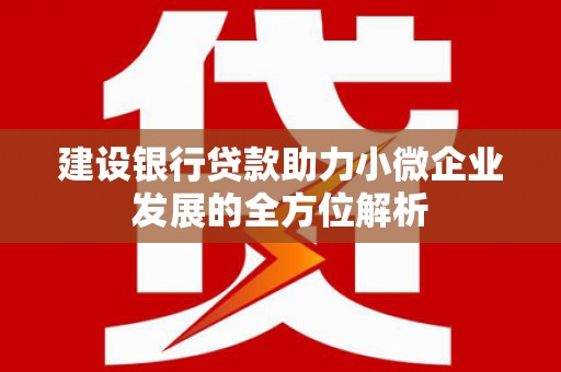 绥滨建设银行贷款助力小微企业发展的全方位解析