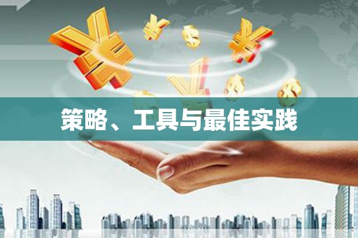 绥滨策略、工具与最佳实践