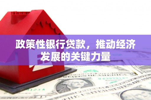 绥滨政策性银行贷款，推动经济发展的关键力量