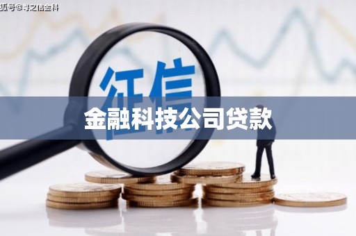 绥滨金融科技公司贷款