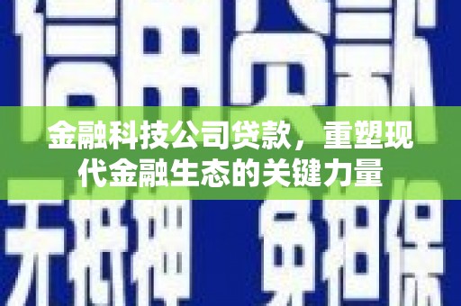 绥滨金融科技公司贷款，重塑现代金融生态的关键力量