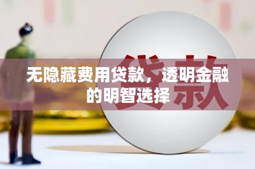 绥滨无隐藏费用贷款，透明金融的明智选择