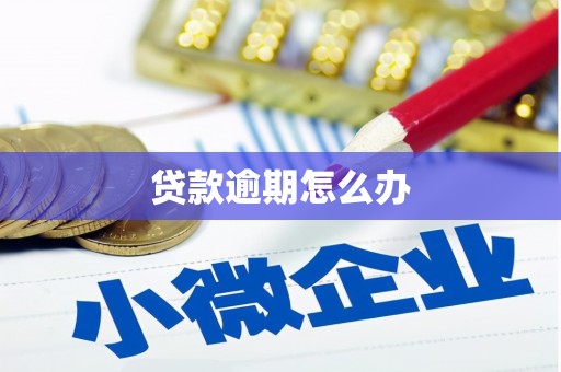 绥滨贷款逾期怎么办