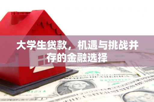 绥滨大学生贷款，机遇与挑战并存的金融选择