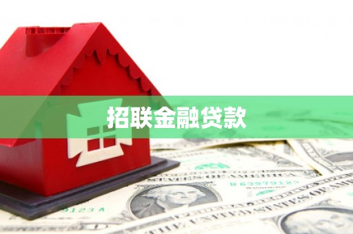 绥滨招联金融贷款