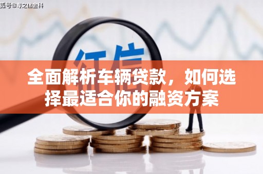 绥滨全面解析车辆贷款，如何选择最适合你的融资方案