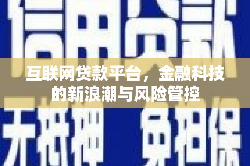 绥滨互联网贷款平台，金融科技的新浪潮与风险管控
