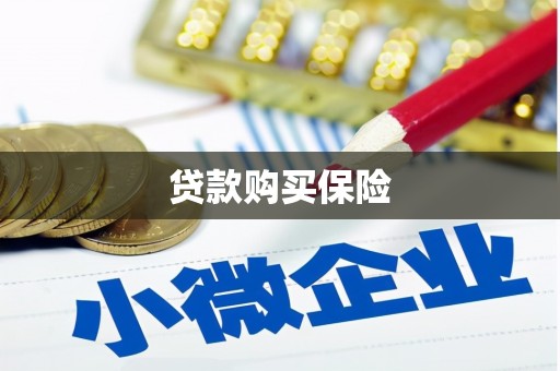 绥滨贷款购买保险