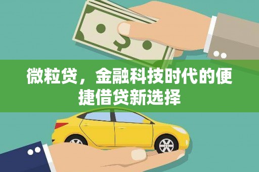 绥滨微粒贷，金融科技时代的便捷借贷新选择