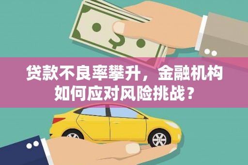 绥滨贷款不良率攀升，金融机构如何应对风险挑战？