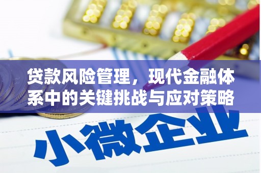 绥滨贷款风险管理，现代金融体系中的关键挑战与应对策略