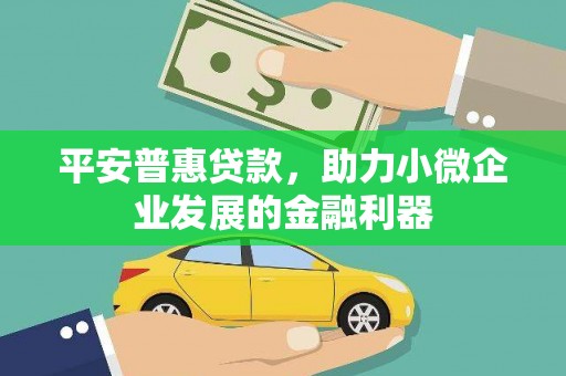 绥滨平安普惠贷款，助力小微企业发展的金融利器