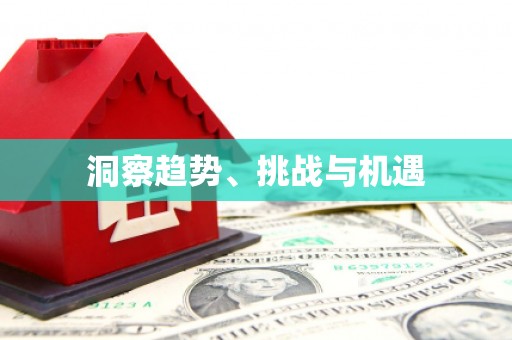 绥滨洞察趋势、挑战与机遇