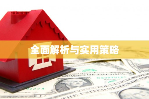绥滨全面解析与实用策略